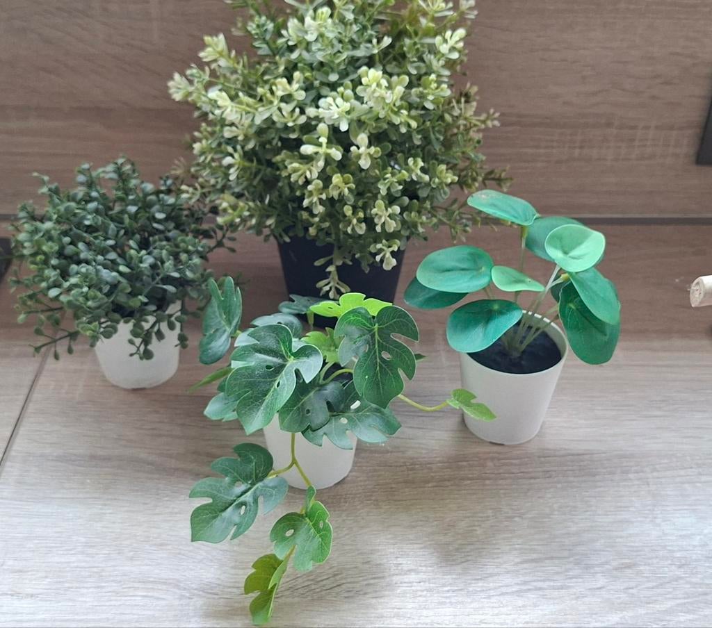 Fausses plantes Ikea, Enlèvement