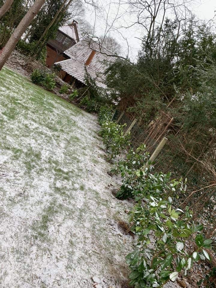 plantation de haie, Enlèvement, Haie