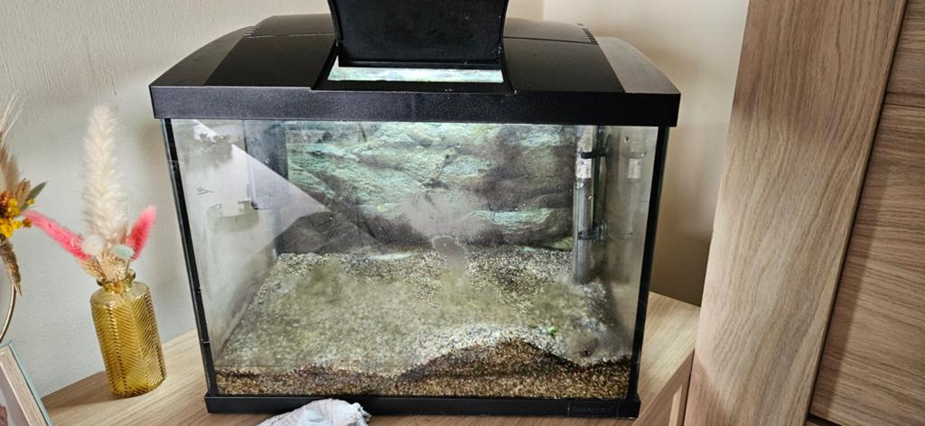 Te aquarium