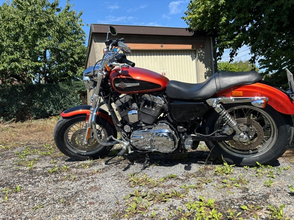 Harley Davidson Sporster 1200 XL Custom, Motos, Motos | Harley-Davidson, Occasion, Plus de 35 kW, Chopper, 2 cylindres