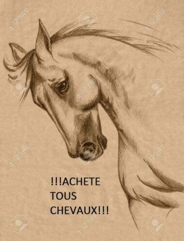 Achète tous types de chevaux