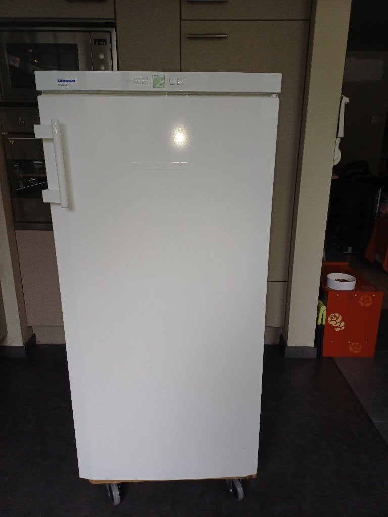 diepvries, Elektronische apparatuur, Vriezers en Diepvrieskisten, 120 tot 140 cm, Zo goed als nieuw, Energieklasse A of zuiniger