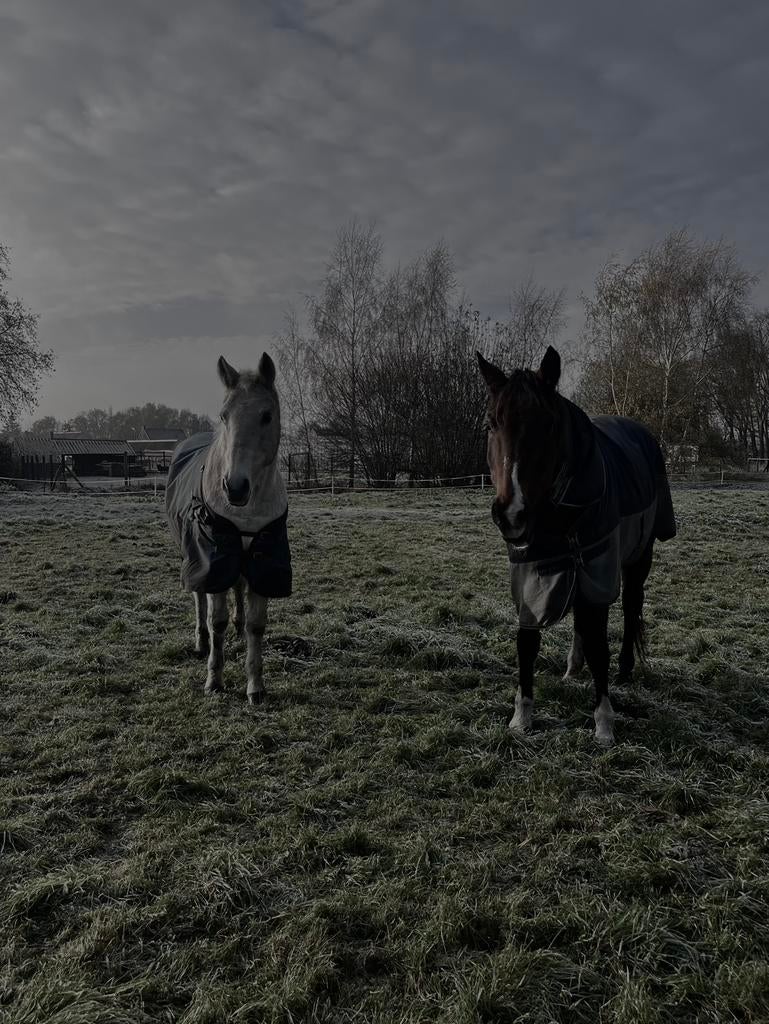 Weide laarne kalken gezocht, Dieren en Toebehoren, Ophalen of Verzenden, Zo goed als nieuw