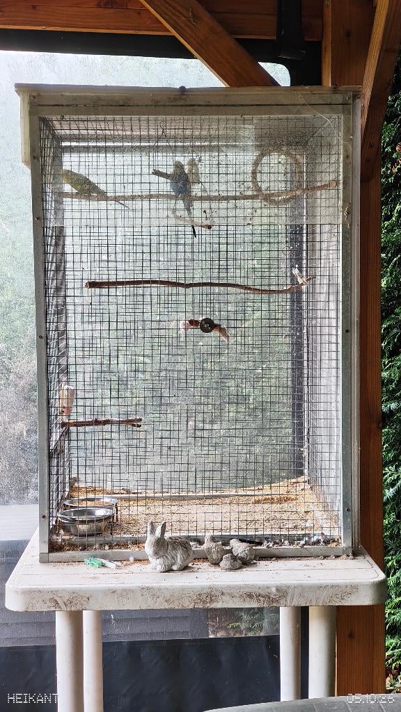 Vogelkooi, Enlèvement, Utilisé, Aluminium, Autres types