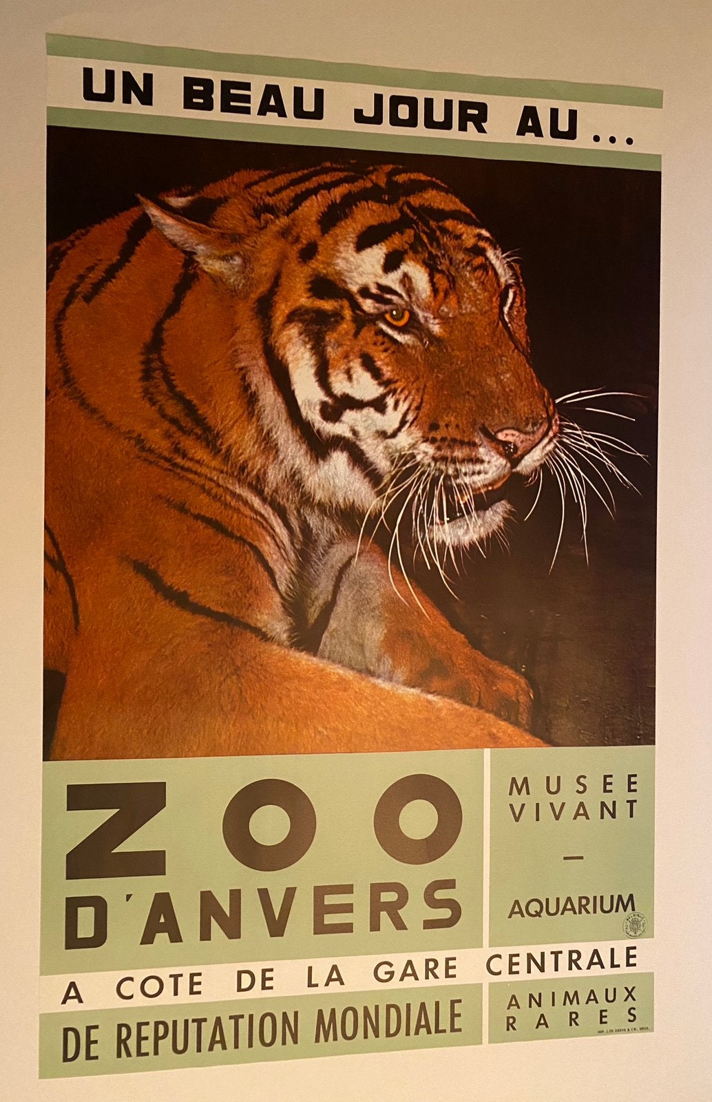 Originele affiche Zoo Antwerpen 1960, Ophalen, Zo goed als nieuw