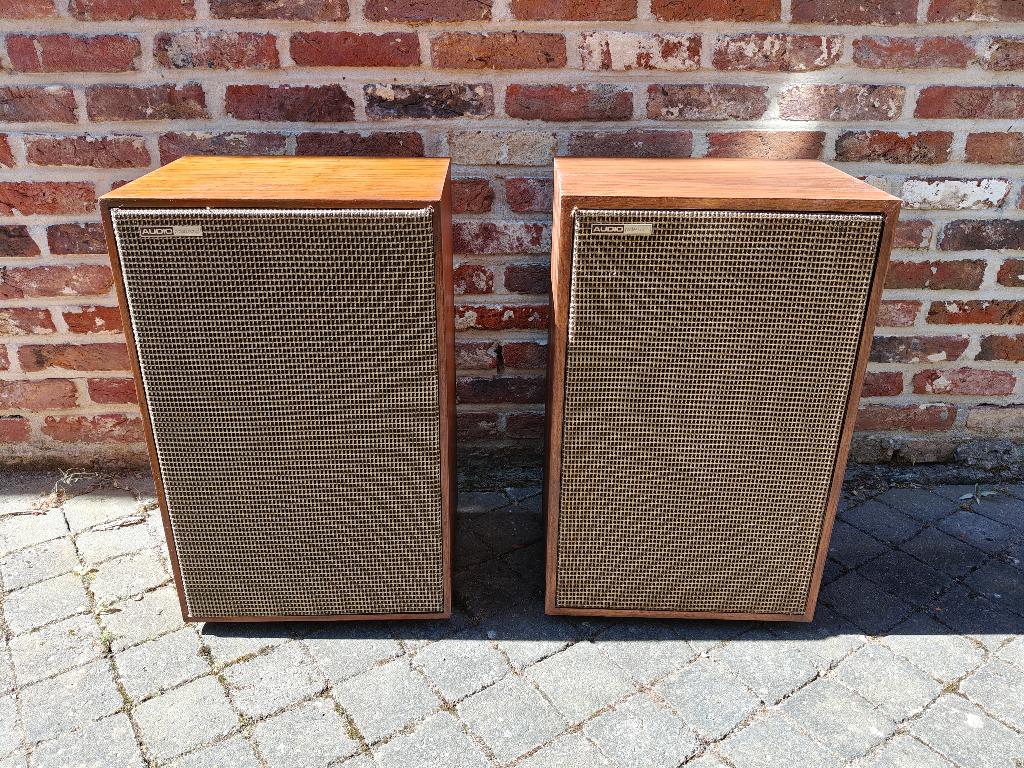 Audio professional AP40 set, Audio, Tv en Foto, Luidsprekerboxen, Front, Rear of Stereo speakers, 60 tot 120 watt, Ophalen
