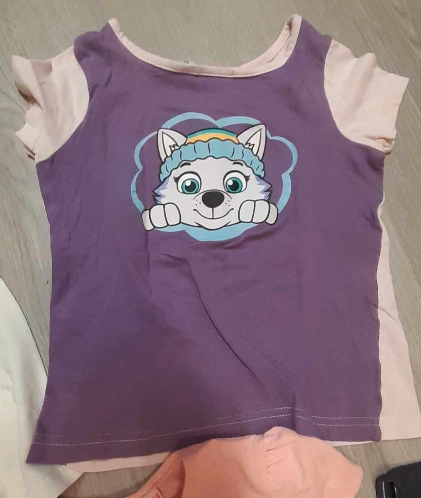 shirt paw patrol maat 104, Ophalen, Gebruikt, Meisje, Shirt of Longsleeve