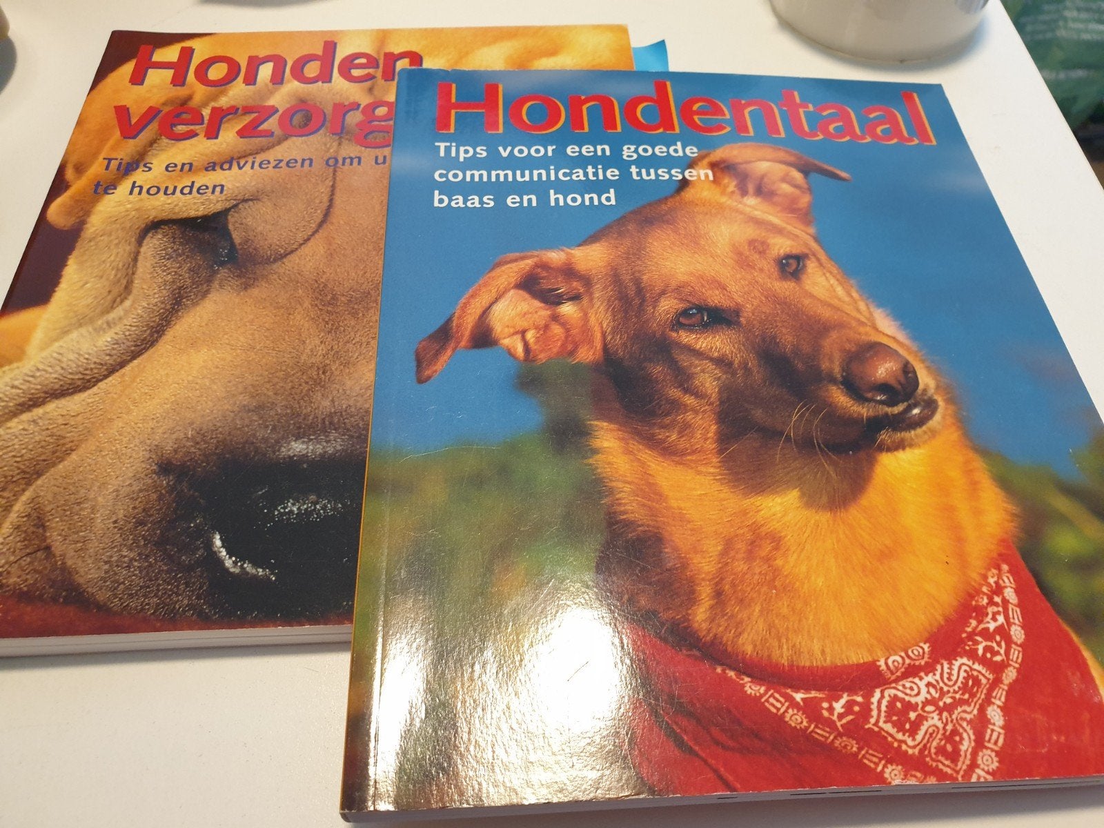Hondenverzorging & Hondentraining Tips en adviezen, Enlèvement ou Envoi, Comme neuf
