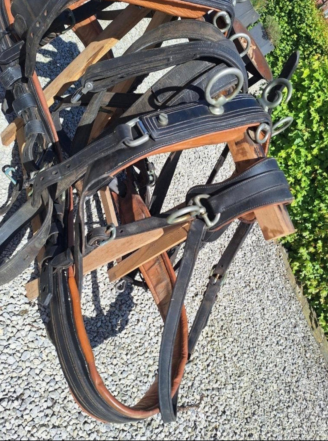 dubbelspan tuig te koop, Dieren en Toebehoren, Ophalen, Borsttuig, Full