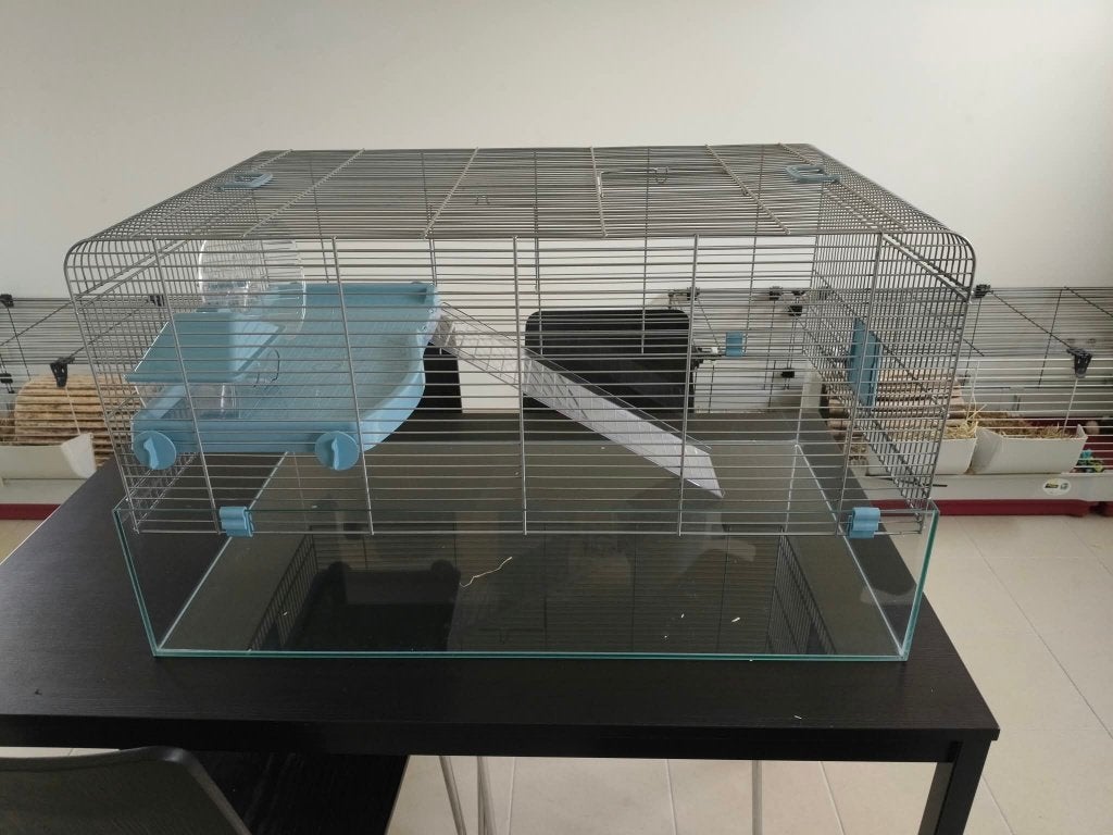 Hamster kooi met huisje en wiel, Moins de 60 cm, 75 à 110 cm, Cage, Enlèvement