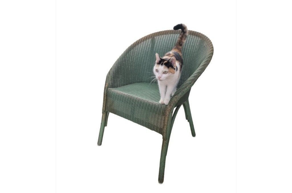 Lloyd Loom kuipfauteuil in groen - gedateerd Nov. 1954, Enlèvement