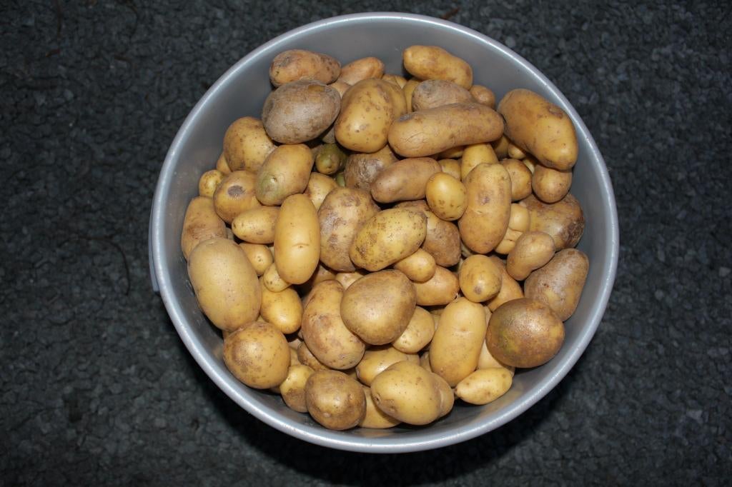 Voederaardappelen, Dieren en Toebehoren