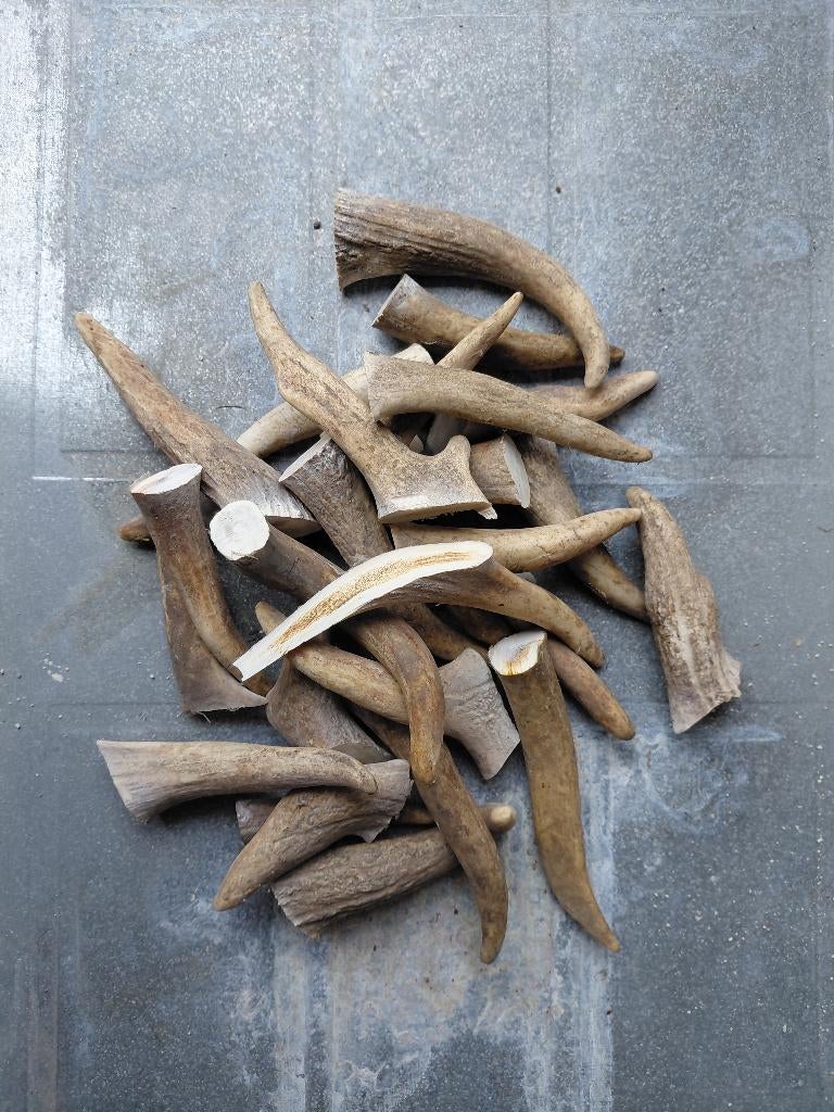 Os à mâcher naturels, Animaux & Accessoires, Accessoires pour chiens, Neuf, Enlèvement ou Envoi