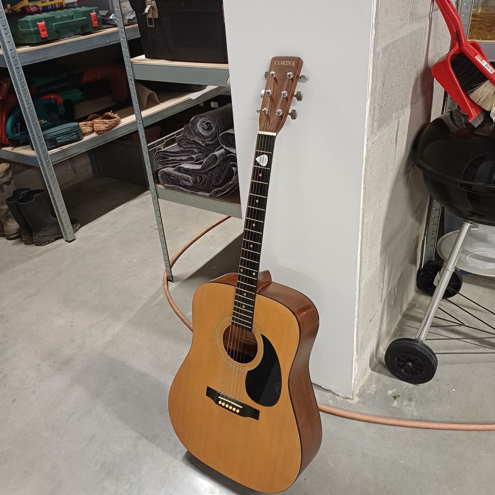 Gitaar Corina d-5, Enlèvement