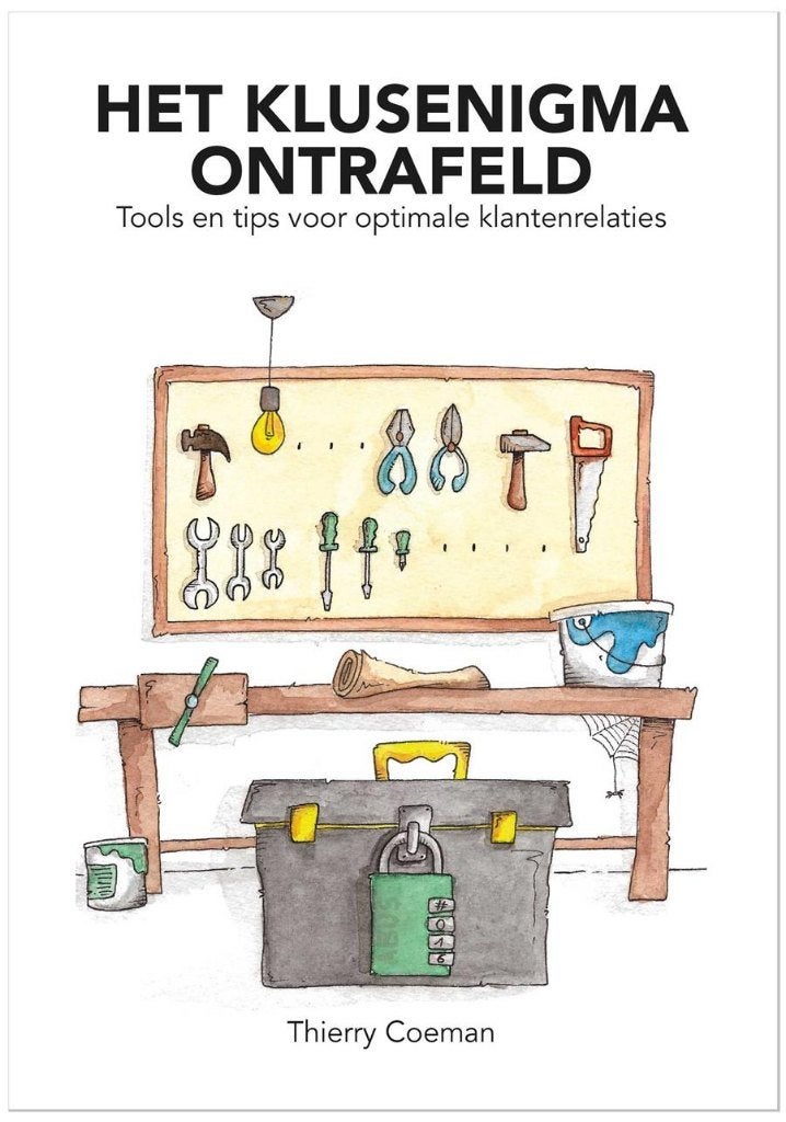 Boek: Het klussenenigma ontrafeld, Enlèvement, Neuf