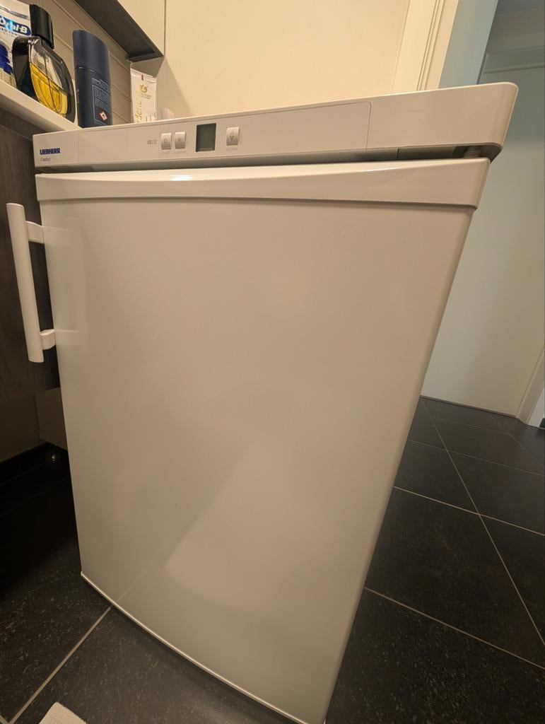 Liebherr tafel model diepvries perfecte staat, Enlèvement