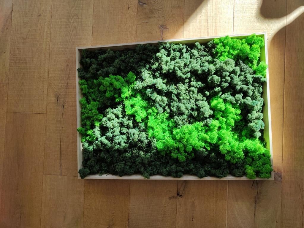 Mosschilderij, Antiek en Kunst, Kunst | Designobjecten, Ophalen