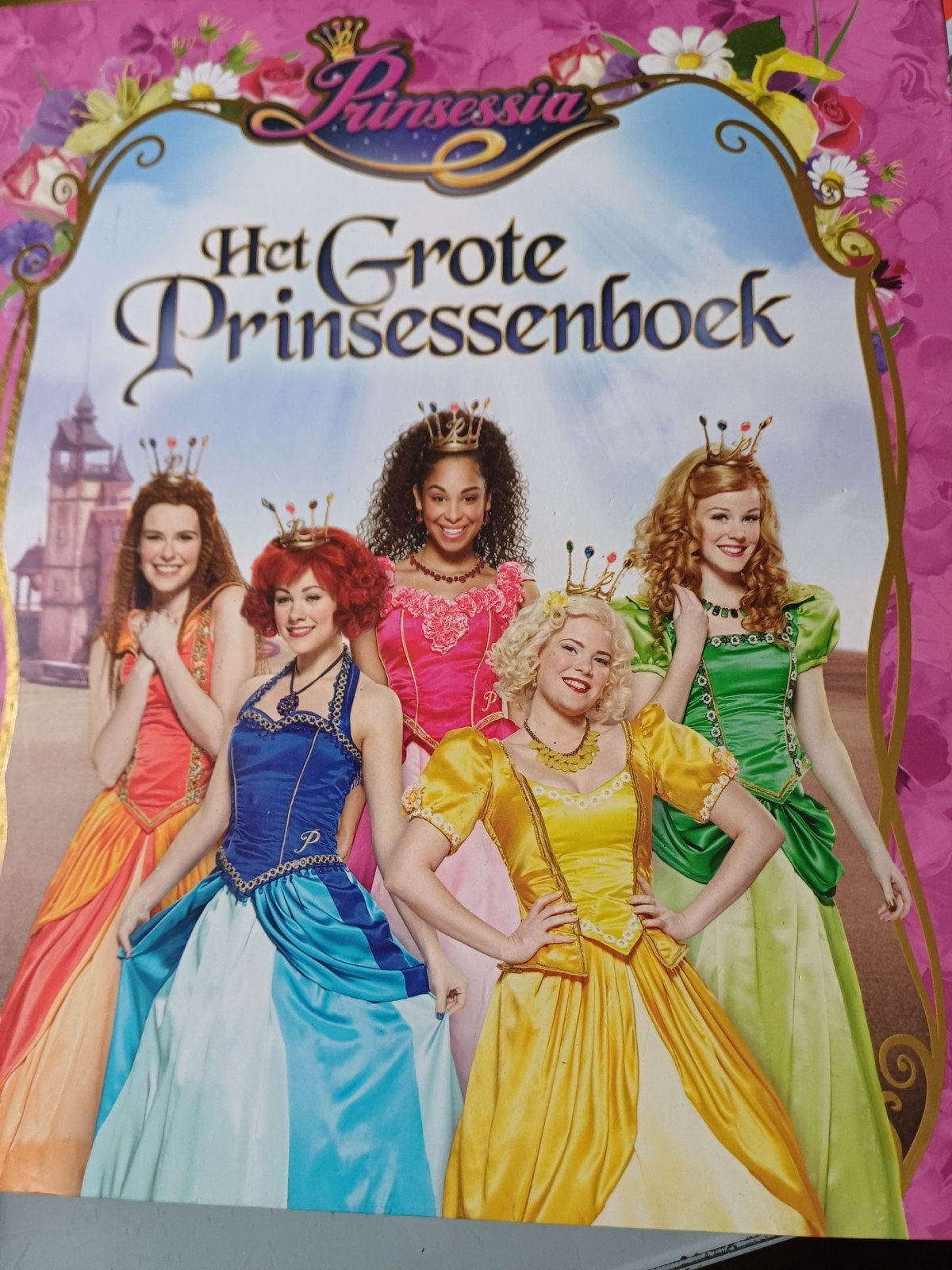 Het grote prinsessenboek Studio 100, Ophalen of Verzenden, Studio 100
