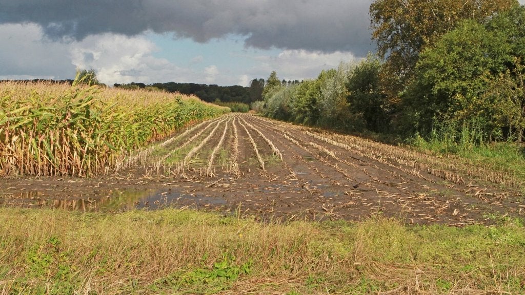 gezocht landbouwgrond voor (seizoens)pacht, Ophalen