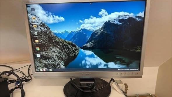 Écran PC 19" Philips, Neuf, Philips, QLED, 50 Hz