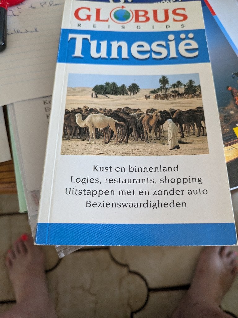 Tunesië, Boeken, Reisgidsen, Ophalen of Verzenden, Zo goed als nieuw, Reisgids of -boek, Overige merken