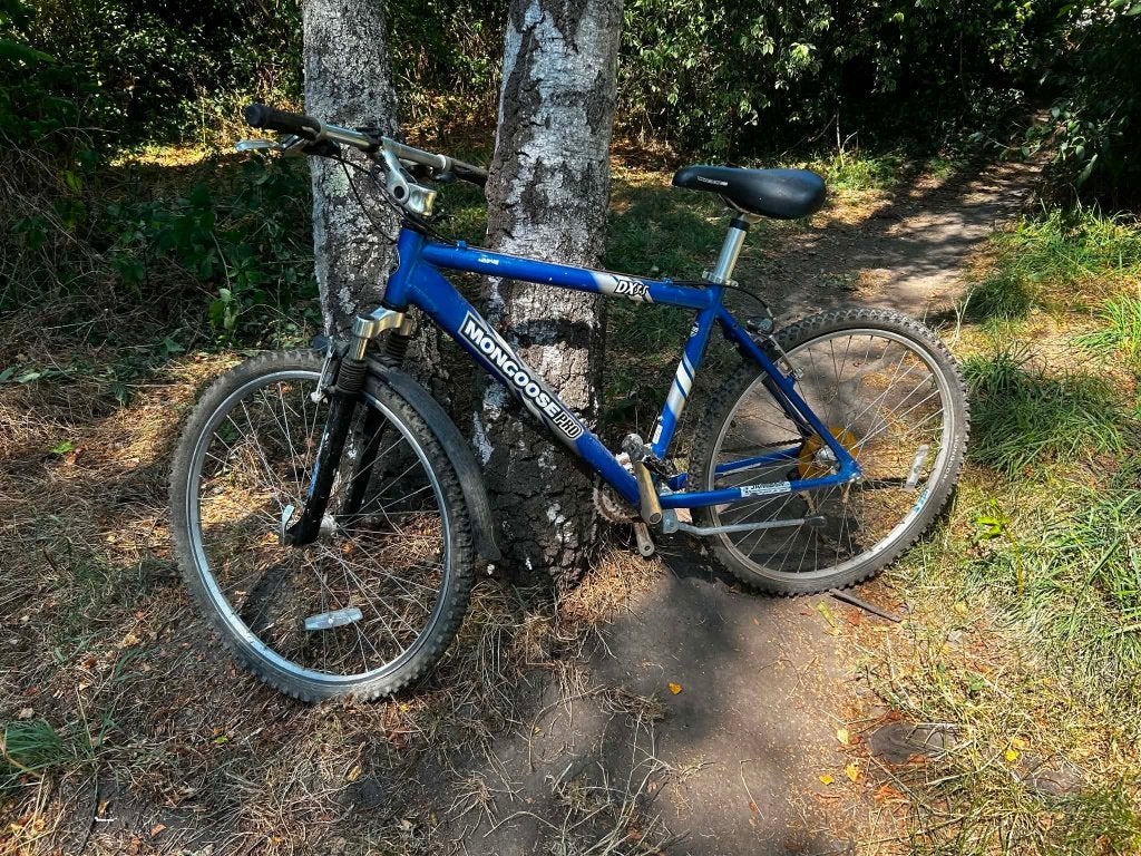 vélo de montagne pour femmes, Vélos & Vélomoteurs, Autres marques, Vitesses, Enlèvement, Utilisé