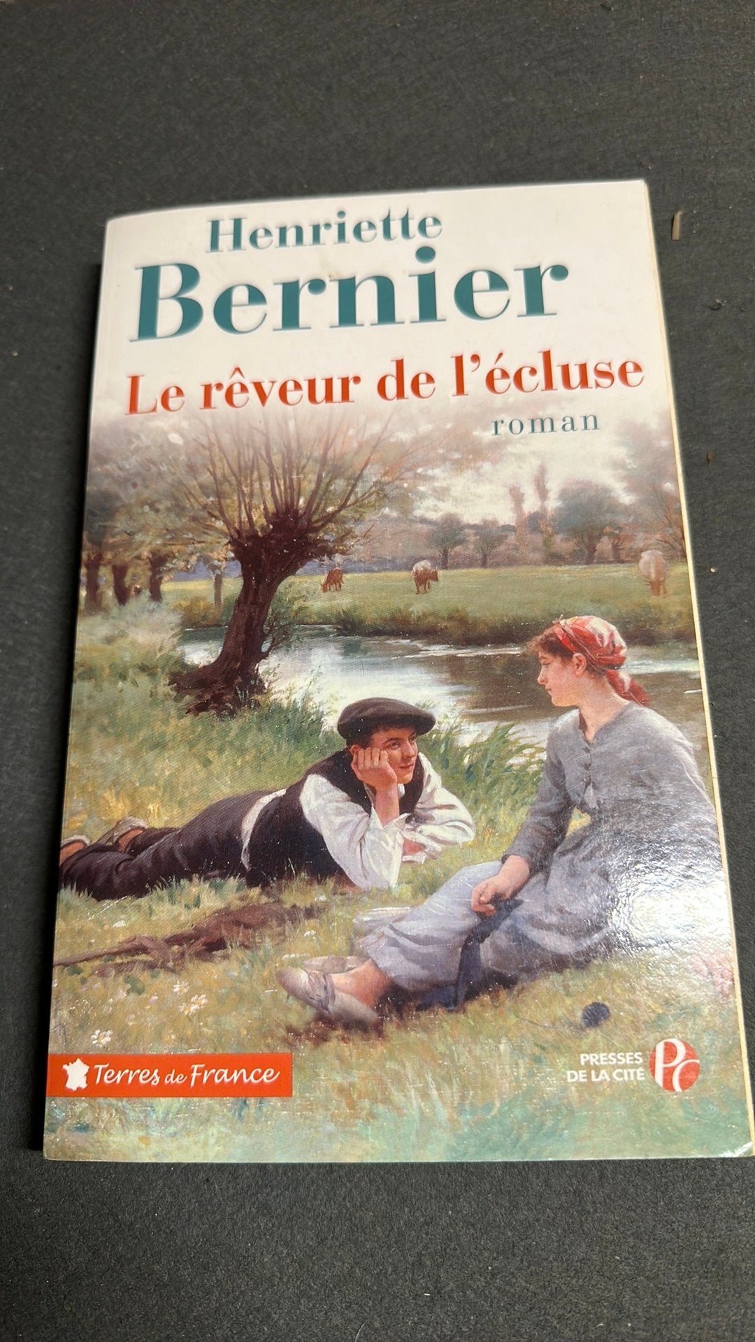 Le reveur de l’écluse de Henriette Bernier, Livres, Romans, Enlèvement ou Envoi