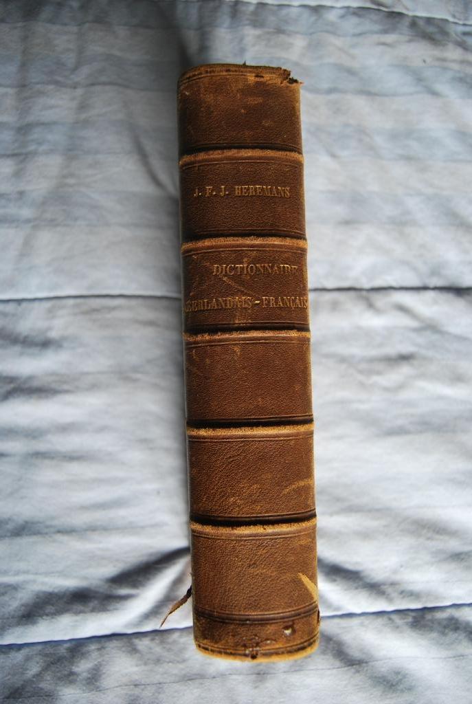 Dictionnaire Néerlandais/Français 1871, Enlèvement ou Envoi, Utilisé, Français
