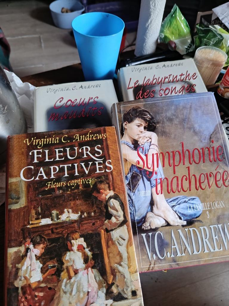Livre de Virginia Andrews, Livres, Enlèvement, Utilisé
