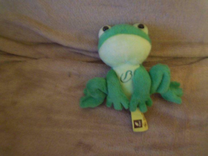 knuffel van beyers kikker 14 cm(doos 105), Enlèvement ou Envoi, Neuf, Grenouille