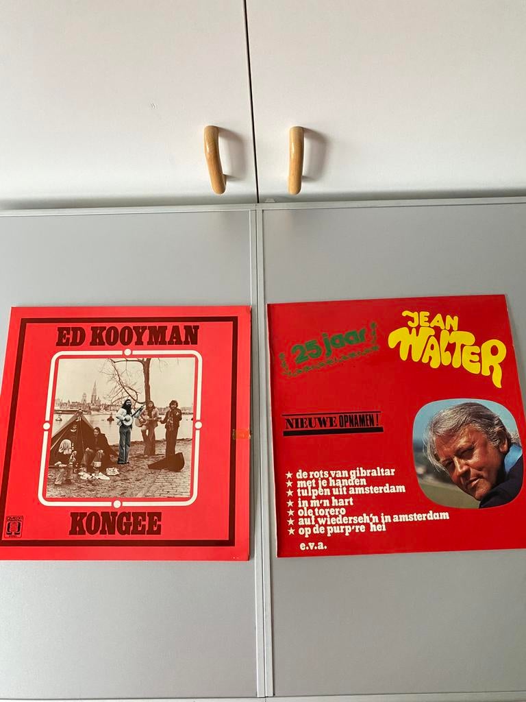 🍄. 2 LP’s Nederlands, Cd's en Dvd's, Ophalen of Verzenden, Zo goed als nieuw
