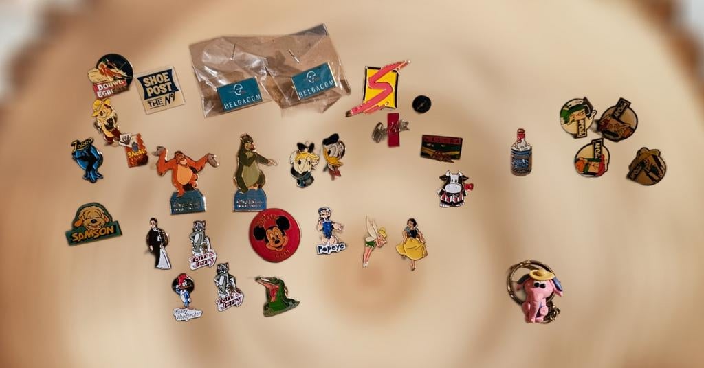 Diverse vintage pins, Verzamelen, Verzenden, Zo goed als nieuw, Overige onderwerpen, Speldje of Pin