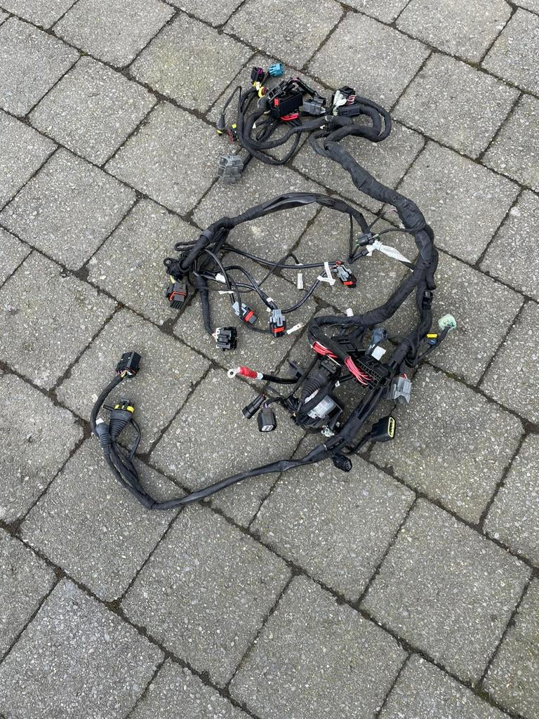 Kabelboom Ducati 1199 - 1299, Motoren, Ophalen of Verzenden, Gebruikt