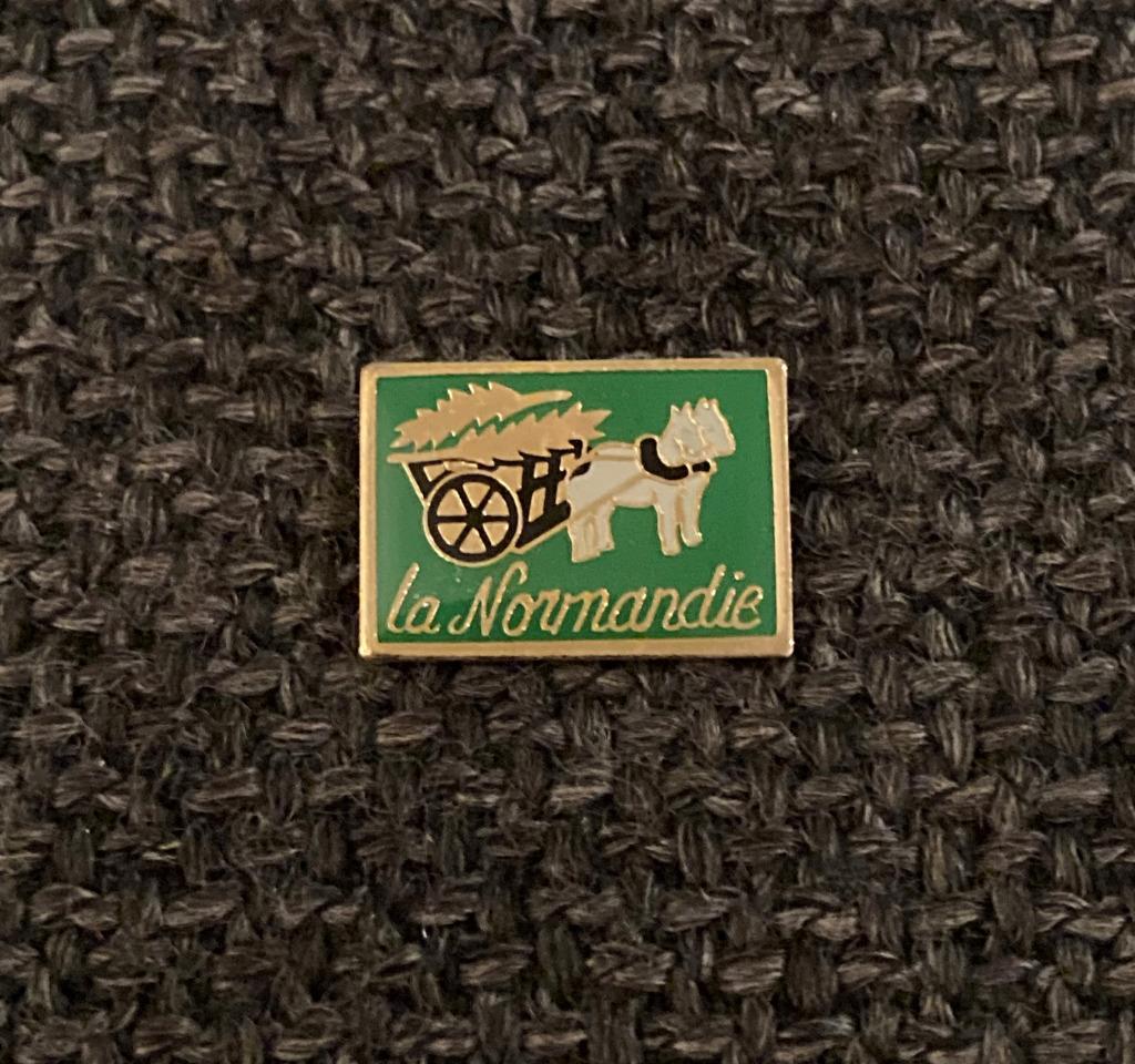 PIN - LA NORMANDIE - NORMANDIË - FRANCE - FRANKRIJK, Verzamelen, Verzenden, Gebruikt, Stad of Land, Speldje of Pin