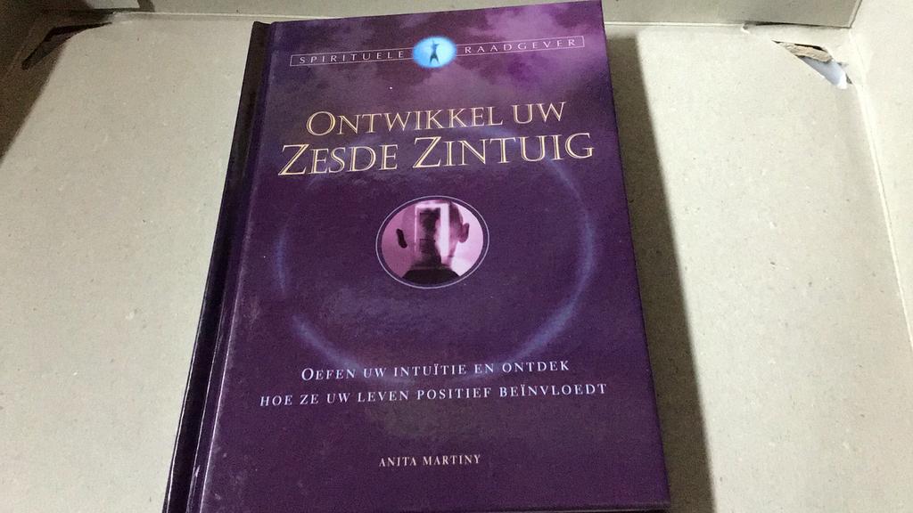 Spirituele raadgever (%), Boeken, Esoterie en Spiritualiteit, Ophalen of Verzenden, Zo goed als nieuw, Spiritualiteit algemeen