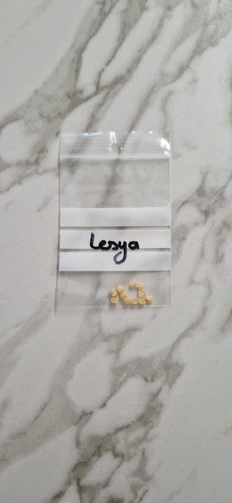 Paprika "Lesya", Ophalen of Verzenden, Voorjaar, Volle zon, Zaad