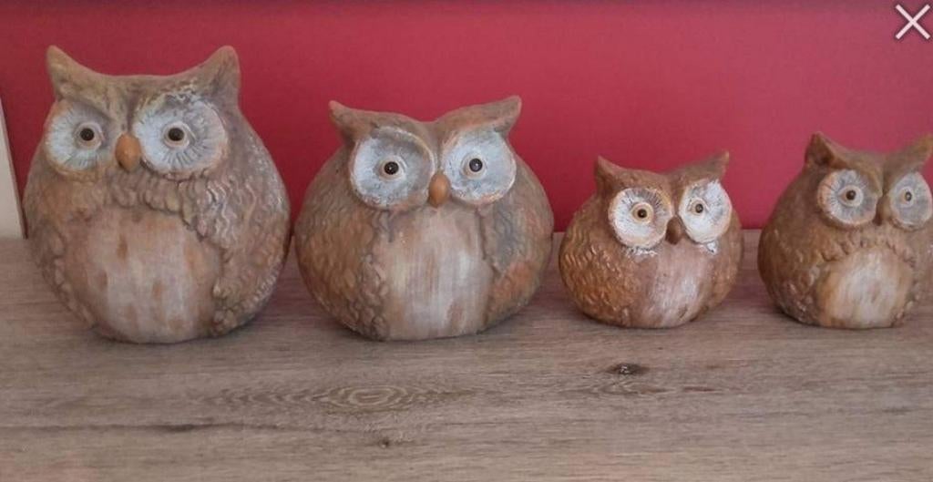 4 mooie decoratieve uilen, Ophalen