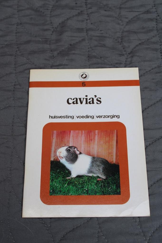 Cavia's - huisvesting / voeding / verzorging, Boeken, Dieren en Huisdieren, Gelezen, Voorwalt en van nikkelen, Konijnen of Knaagdieren
