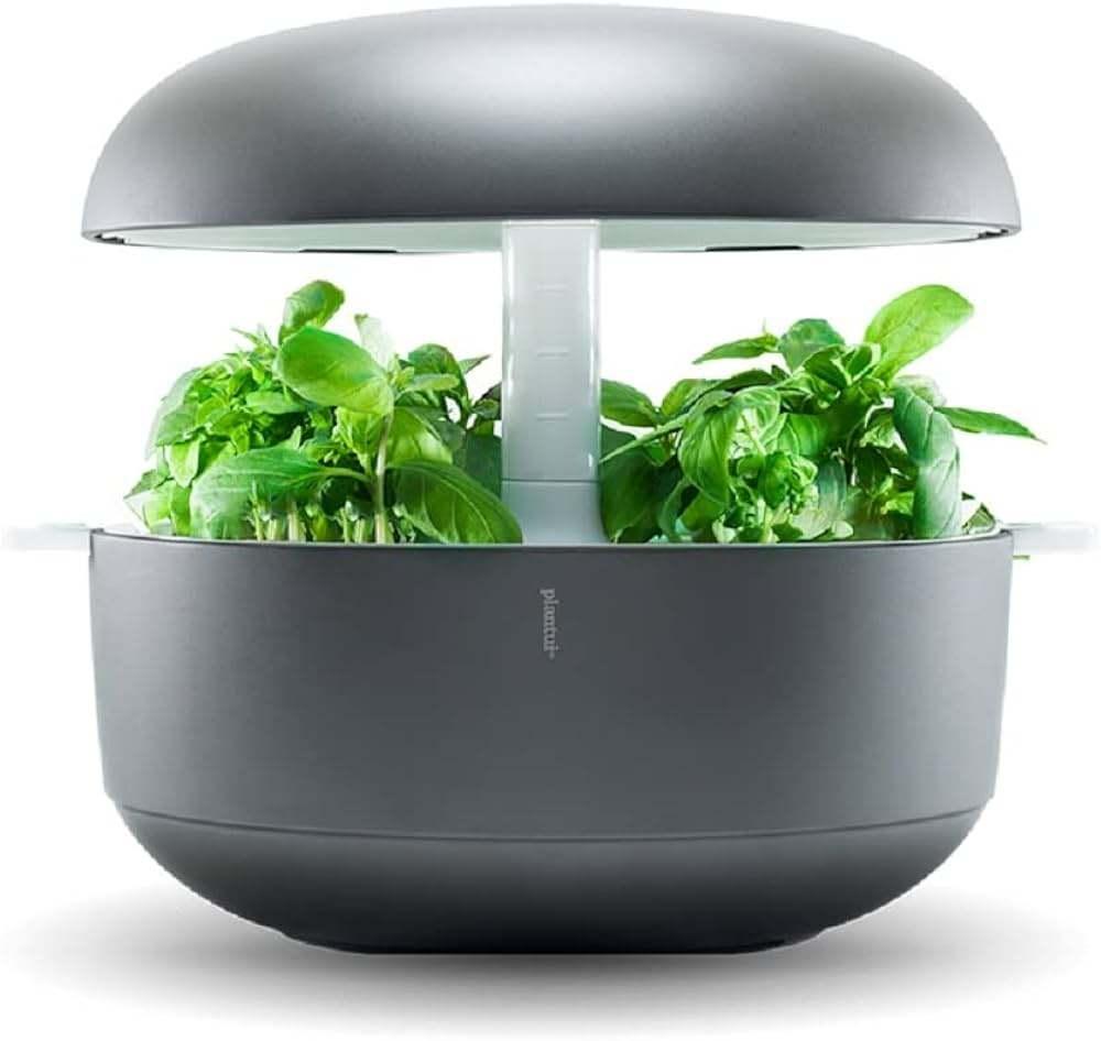 Jardin d'herbes hydroponiques Plantui 6 Smart Garden, Enlèvement ou Envoi, Neuf, Plastique, Serre