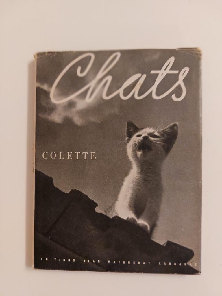 Chats de Colette, Antiquités & Art, Enlèvement ou Envoi