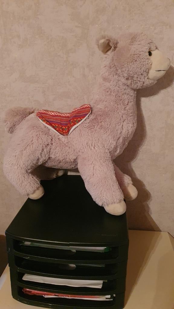 Pluche alpaca, Enlèvement ou Envoi