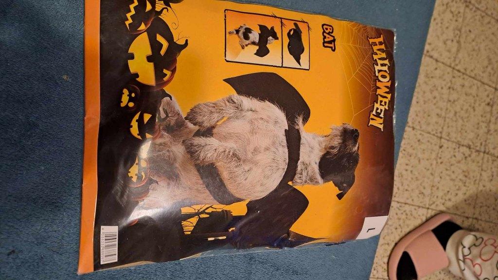Déguisement Chien Bat Halloween T moyenne, Enlèvement, Comme neuf