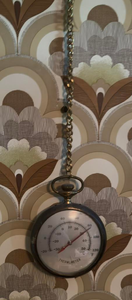 Vintage pocket watch-style thermometer, Ophalen