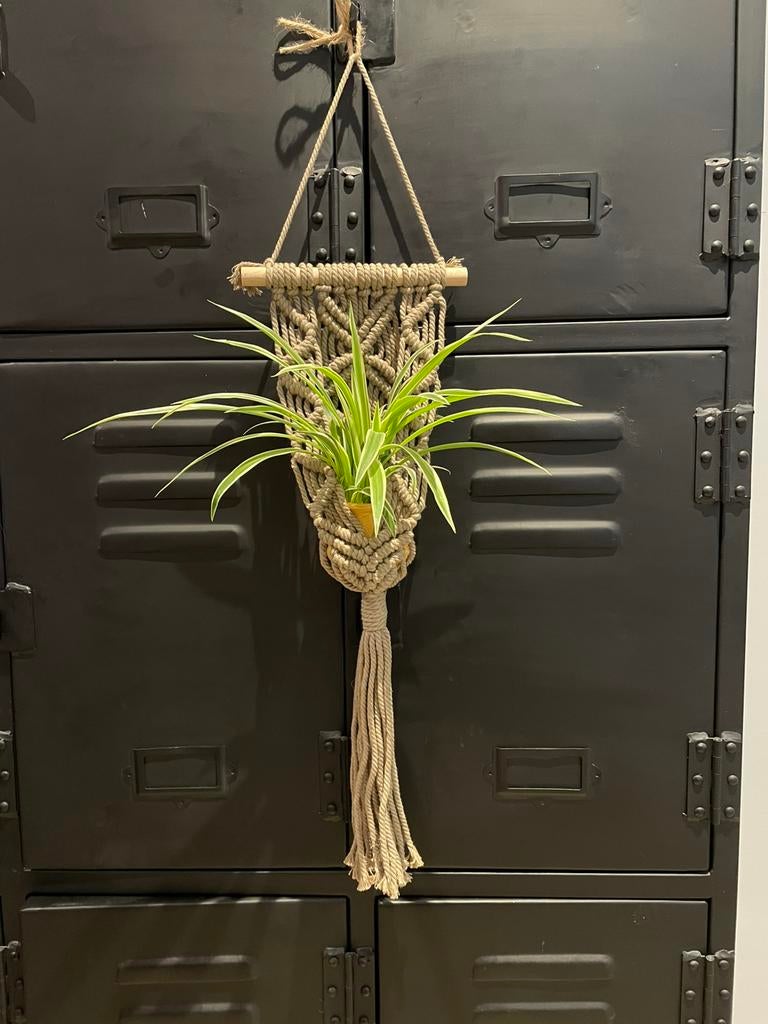 Plantenhanger macramé zelf gemaakt, Ophalen