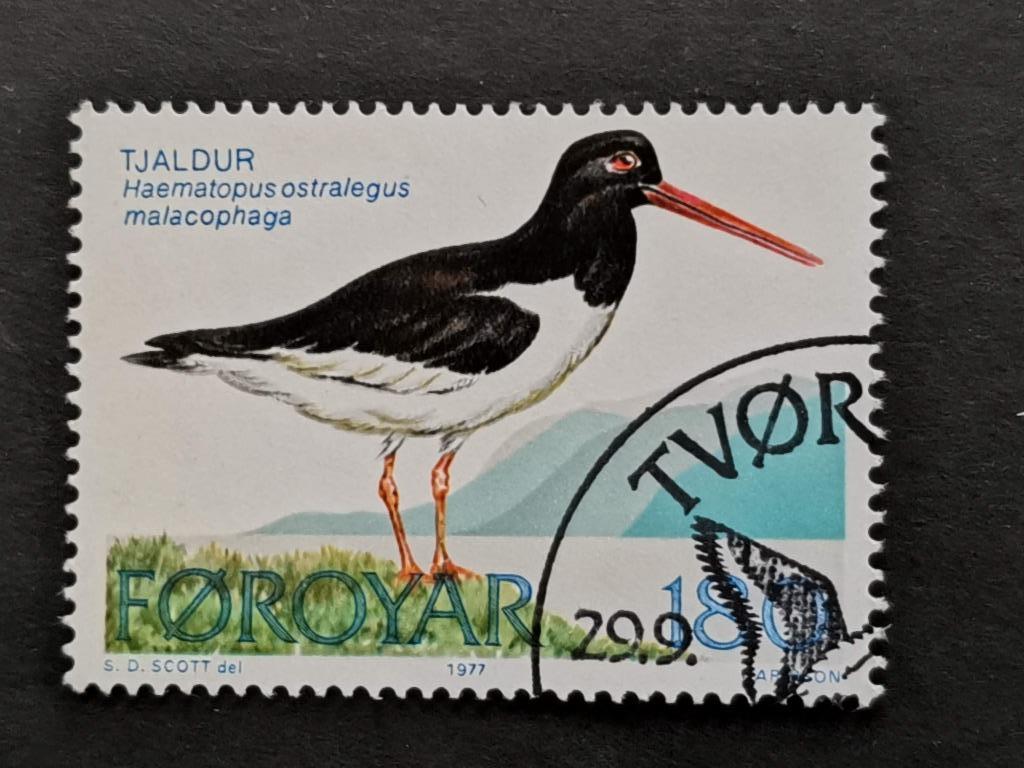 Îles Féroé/Foroyar 1977 - oiseaux - Huîtrier pie, Timbres & Monnaies, Timbres | Europe | Scandinavie, Enlèvement ou Envoi, Danemark