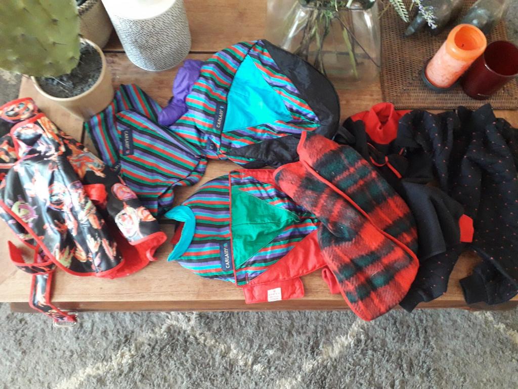 Allerlei hondenkleding (jasjes, truitjes, mutsjes, sjaaltjes, Ophalen of Verzenden, Zo goed als nieuw, Hondenjas