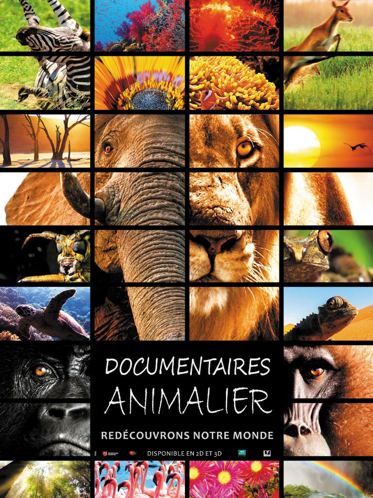 Dierendocumentaires (185 video's), Alle leeftijden, Ophalen of Verzenden, Zo goed als nieuw, Natuur