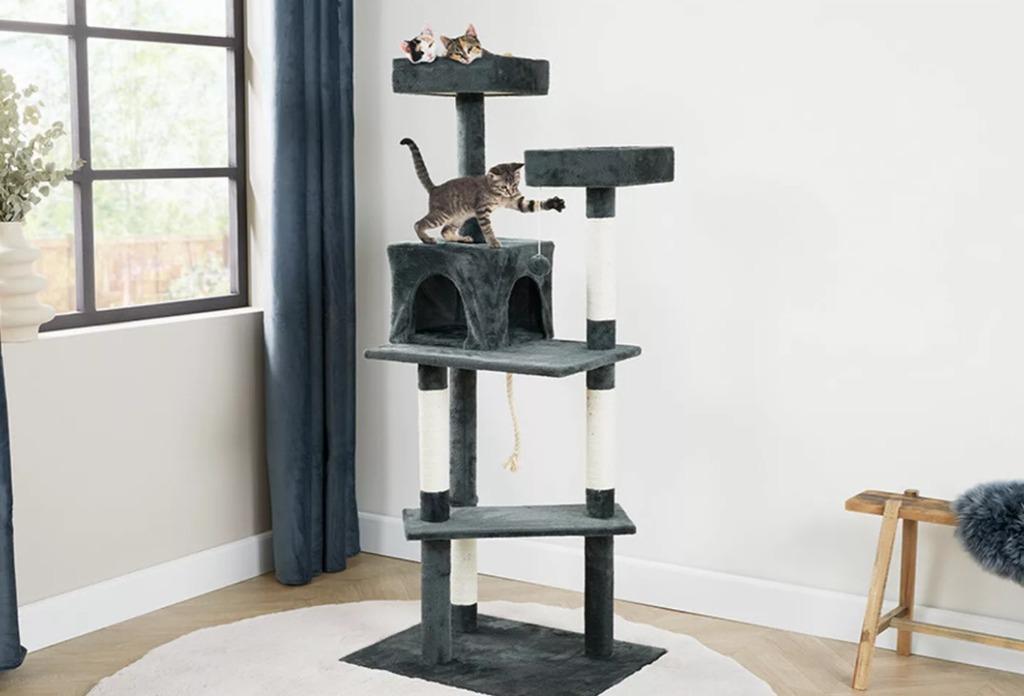 Arbre à chat 70 x 50 x 150 cm (neuf), Ophalen, Nieuw