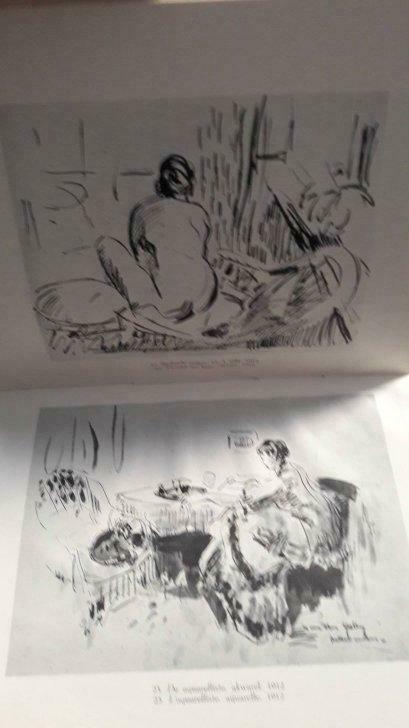Rik Wouters Schilderijen en Sculpturen 60pag 55ill, Boeken, Ophalen of Verzenden, Gelezen