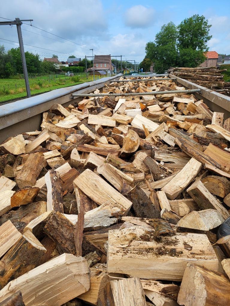 VOORJAARSPROMO! Brandhout losgestort+GRATIS aanmaakhout, 6 m³ ou plus, Envoi, Hêtre, Bûches